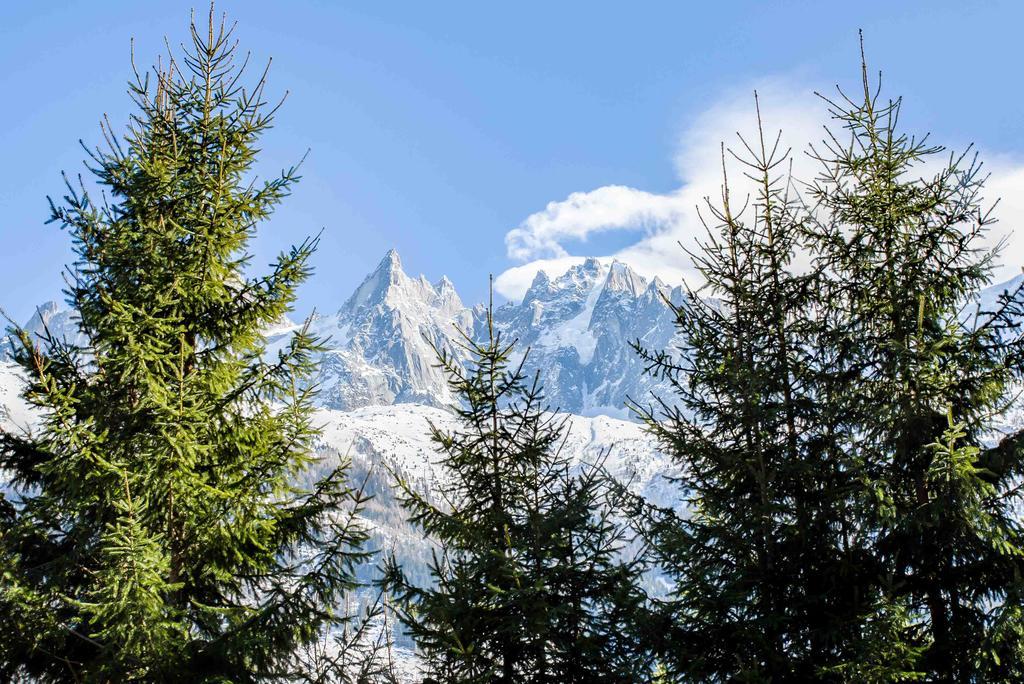 Chalet La Source - Chamonix All Year Экстерьер фото